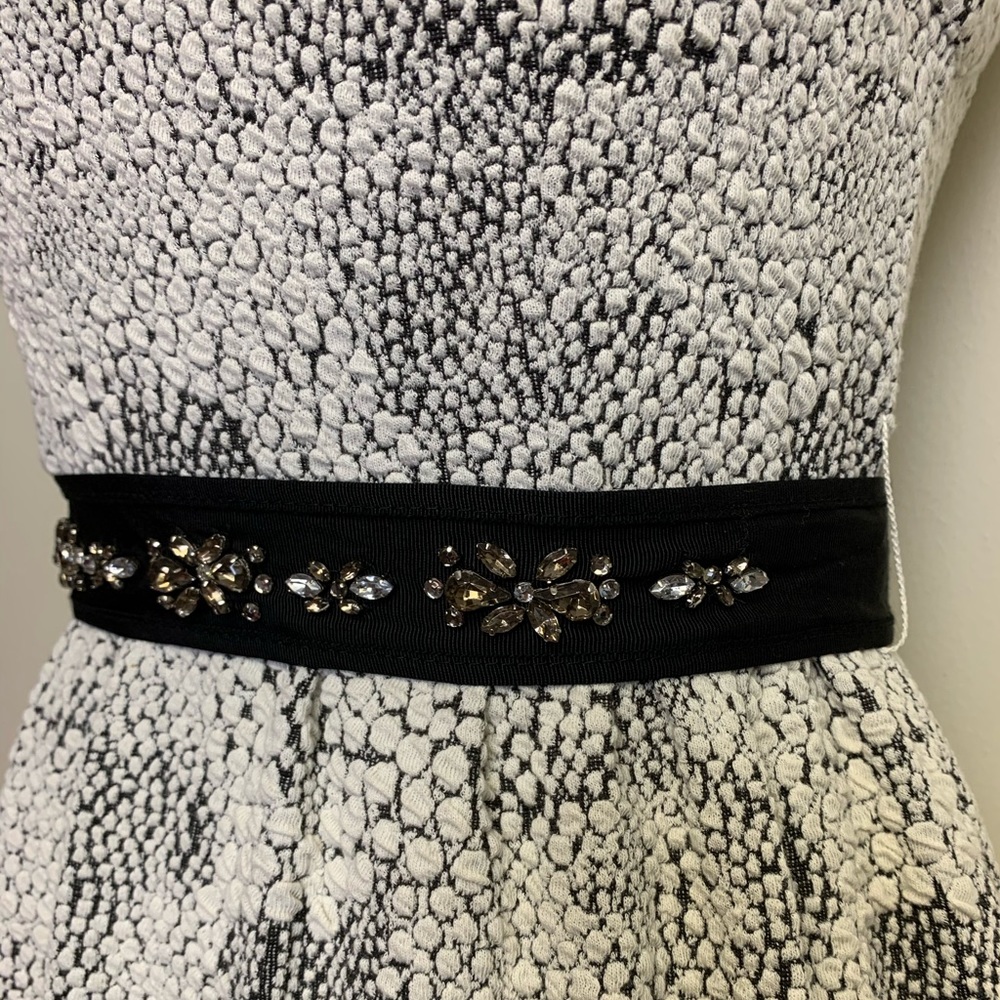 Black Swan Dress Size XS - Picture 3 of 7